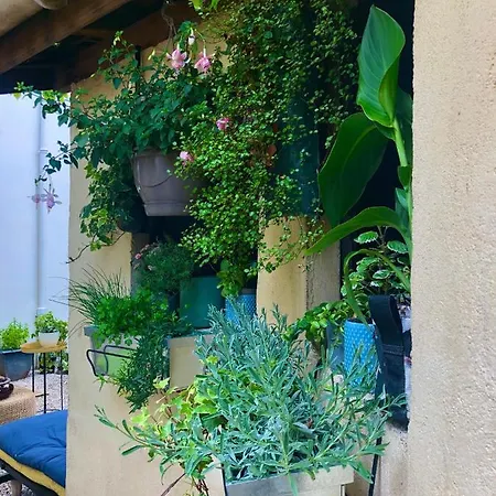 Le Jardin Wilson